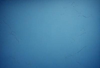 The primary subject of the image is a blue sky with a few birds flying in it. The setting is an open sky, and the visual style appears to be a combination of a photo and a drawing. The colors in the image are predominantly blue, creating a calm and serene atmosphere.