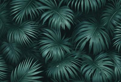 The image features a large, lush green palm tree with long, curved leaves. The tree is the primary subject of the image, and it is set against a dark background. The visual style of the image is a close-up of the palm tree, showcasing its intricate details. The dominant colors in the image are green and black, creating a serene and natural atmosphere.