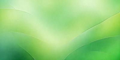 The primary subject of the image is a green leaf, which is the main object, scene, or focus of the image. The setting/background features a green background, which adds to the overall atmosphere. The visual style of the image is a photo, showcasing the leaf in its natural environment. The colors and mood of the image are predominantly green, creating a calm and serene atmosphere.