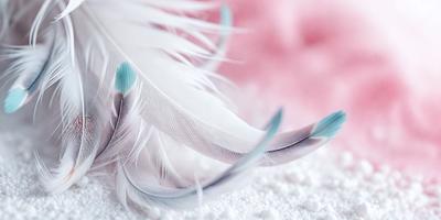 The primary subject of the image is a white feather, which is the main object, scene, or focus of the image. The setting or background features a pink surface, which adds a contrasting color to the scene. The visual style of the image is a close-up of the feather, showcasing its details and texture. The colors and mood of the image are predominantly white and pink, creating a serene and delicate atmosphere.