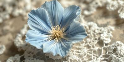 The primary subject of the image is a blue flower with a yellow center, sitting on a white surface. The setting appears to be a table or a similar surface. The visual style of the image is a close-up of the flower, showcasing its details. The dominant colors in the image are blue and white, creating a calm and serene atmosphere.