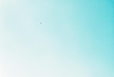 The primary subject of the image is a bird flying high in the sky. The bird is positioned in the middle of the scene, with its wings spread out. The setting is a clear blue sky, which provides a beautiful backdrop for the bird's flight. The visual style of the image is a photo, capturing the bird in its natural environment. The colors in the image are predominantly blue, creating a serene and peaceful atmosphere.