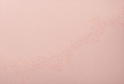 The primary subject of the image is a delicate, intricate design of flowers, leaves, and branches. The setting is a pink background, which adds a soft and warm tone to the scene. The visual style is a combination of digital art and illustration, creating a detailed and artistic representation of the flower pattern. The colors and mood of the image are predominantly pink, which evokes a sense of warmth, love, and beauty.