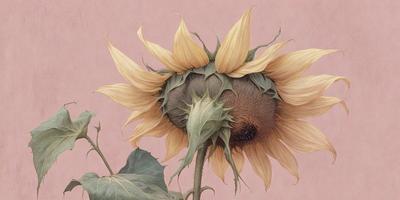 Primary subject: A large yellow sunflower with green leaves.

Setting/background: The sunflower is sitting on a pink surface, which could be a wall or a table.

Visual style: The image is a painting, featuring a detailed and vibrant representation of the sunflower.

Colors and mood: The dominant colors are yellow and green, creating a warm and cheerful atmosphere.