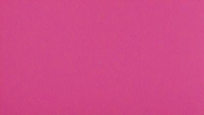 The primary subject of the image is a pink wall. The setting is a room with a pink wall, and the visual style is a close-up of the wall. The dominant colors are pink, and the overall atmosphere is warm and inviting.
