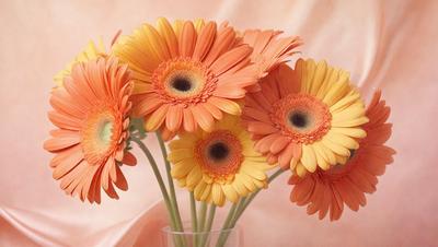 The primary subject of the image is a bouquet of orange and yellow flowers, which are arranged in a vase. The flowers are placed in a glass vase, and the vase is sitting on a pink surface. The setting appears to be a cozy and warm environment, with the flowers adding a touch of color and life to the space. The visual style of the image is a close-up of the flowers, showcasing their vibrant colors and details.