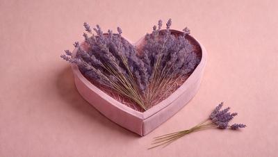 The primary subject of the image is a heart-shaped box filled with lavender flowers. The setting is a pink background, and the visual style is a close-up of the heart-shaped box. The dominant colors are pink and purple, creating a warm and romantic atmosphere.