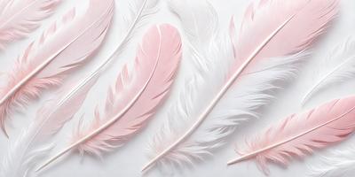 The primary subject of the image is a collection of pink and white feathers. The feathers are arranged on a white surface, creating a visually appealing and artistic display. The setting appears to be a studio or workspace, where the feathers have been carefully arranged and photographed. The visual style of the image is a combination of realism and artistic expression, as the feathers are captured in a way that highlights their natural beauty and texture. The colors and mood of the image are predominantly pink