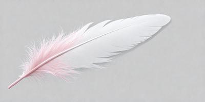 The primary subject of the image is a white feather, which is the main object, scene, or focus of the image. The setting is a gray background, which provides a neutral and unobtrusive environment for the feather. The visual style of the image is a close-up of the feather, showcasing its details and texture. The colors in the image are predominantly white, which gives the image a clean and minimalist appearance. The overall atmosphere of the image is calm and serene, as the fe