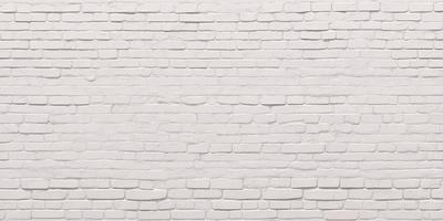 The primary subject of the image is a white brick wall. The setting is a plain white wall, with no visible background or environment. The visual style is a photo, showcasing the brick wall in detail. The colors and mood of the image are predominantly white, giving it a clean and minimalist appearance.