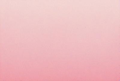 The primary subject of the image is a large, pink, empty space. The setting is a pink background, which creates a unique and visually striking scene. The visual style of the image is a close-up of the pink background, emphasizing the color and texture. The colors and mood of the image are predominantly pink, giving it a warm and inviting atmosphere.