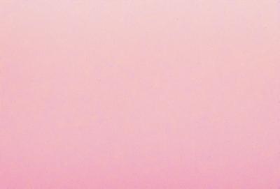 The primary subject of the image is a large, pink, textured surface. The setting is a pink background, which creates a unique and visually striking scene. The visual style of the image is a combination of photo and digital art, giving it a distinctive and artistic appearance. The dominant colors in the image are pink, which creates a warm and inviting atmosphere.