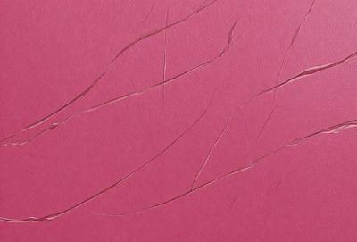 The primary subject of the image is a pink surface with a pattern of thin, curved lines. The setting appears to be a room with a pink wall, and the visual style is a close-up of the pink surface. The colors and mood of the image are predominantly pink, creating a warm and inviting atmosphere.