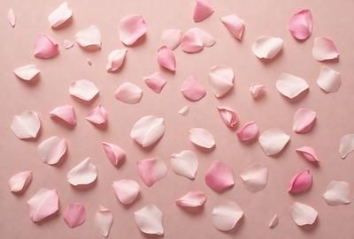 The primary subject of the image is a close-up of a pink flower petal. The setting is a pink background, which adds to the overall mood of the image. The visual style is a close-up of a single petal, emphasizing the details of the flower. The colors and mood of the image are predominantly pink, creating a soft and delicate atmosphere.