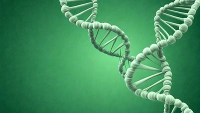 The primary subject of the image is a close-up of a DNA molecule. The setting is a green background, which provides a contrasting color to the DNA. The visual style is a digital art, as the DNA is depicted in a detailed and realistic manner. The colors and mood of the image are predominantly green, which is consistent with the green background.