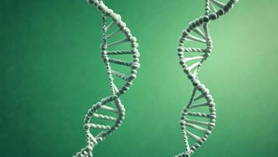 The primary subject of the image is a close-up of a DNA double helix. The setting is a green background, which provides a contrasting color to the white and black DNA strands. The visual style is a digital art or illustration, as the image is a detailed and intricate representation of the DNA structure. The colors and mood of the image are predominantly white and black, giving it a clean and professional appearance.