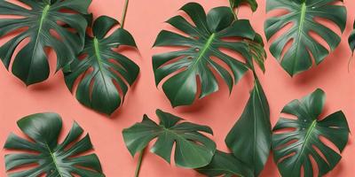 The image features a large group of green leaves, possibly from a palm tree, arranged in various positions. The leaves are spread across the scene, with some overlapping and others standing alone. The primary subject of the image is the green leaves, which create a lush and vibrant atmosphere. The setting is a pink background, which adds a contrasting color to the scene. The visual style of the image is a close-up of the leaves, showcasing their intricate details and textures. The colors and m