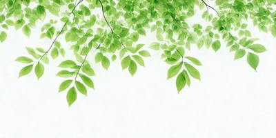 The primary subject of the image is a tree with green leaves. The tree is surrounded by a white background, giving the scene a clean and minimalist appearance. The visual style of the image is a combination of a photo and a drawing, as it captures the natural beauty of the tree while also showcasing the artist's skill in creating a detailed and realistic representation of the tree. The colors and mood of the image are predominantly green, as the tree is filled with green leaves, creating a serene and calming