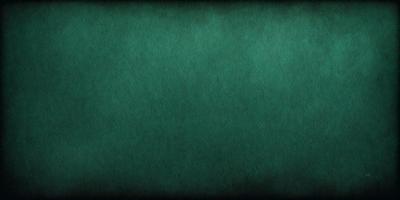 The primary subject of the image is a green background, which appears to be a textured or patterned surface. The setting or background is a dark green, possibly a wall or a piece of fabric. The visual style of the image is a close-up of the green background, which gives a sense of depth and texture to the scene. The colors and mood of the image are predominantly dark and moody, with the green background serving as a focal point.