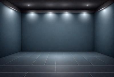 The primary subject of the image is a large, empty room with a blue wall. The setting is a dark room with a blue wall, and the visual style is a photo. The room appears to be a large, empty theater with a blue backdrop. The colors and mood of the image are dark and moody, with the blue wall and the overall atmosphere of the room.