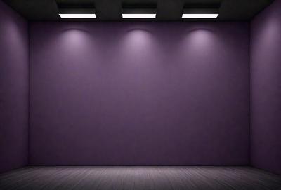 The primary subject of the image is a purple wall with a row of lights on it. The setting is a dark room, and the visual style is a black and white photo. The dominant colors are purple and black, creating a moody atmosphere.