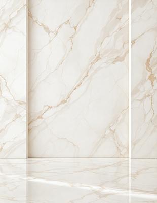 The primary subject of the image is a marble wall with a patterned design. The setting is a bathroom, with the marble wall serving as a backdrop. The visual style is a photo, capturing the intricate details of the marble wall. The colors and mood of the image are predominantly white, giving it a clean and elegant appearance.
