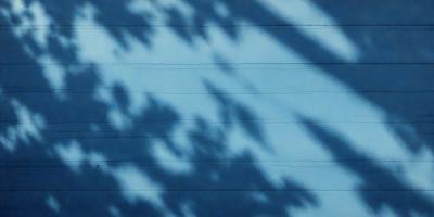 The primary subject of the image is a blue wall with shadows cast on it. The setting is an outdoor environment, possibly a building or a wall. The visual style appears to be a photo, as it captures the shadows and the blue wall. The colors and mood of the image are predominantly blue, creating a calm and serene atmosphere.