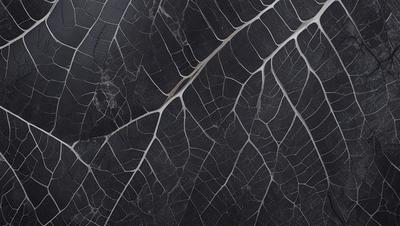 The primary subject of the image is a close-up of a tree branch with a black background. The setting is a dark room, and the visual style is a black and white photo. The colors and mood of the image are predominantly dark and moody, with the black branch and background creating a dramatic and artistic effect.