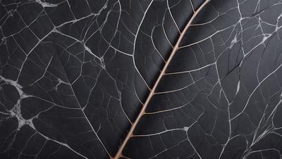 The primary subject of the image is a leaf, which is the main object, scene, or focus of the image. The leaf is displayed against a black background, giving it a dramatic and striking appearance. The visual style of the image is a close-up of the leaf, showcasing its intricate details and textures. The colors and mood of the image are predominantly dark, with the leaf being the main source of contrast and visual interest.