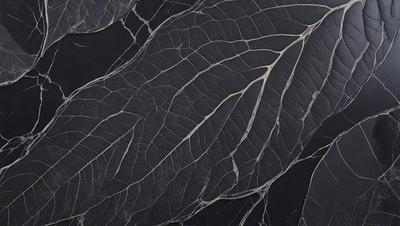 The primary subject of the image is a close-up of a black and white photograph of a leaf. The leaf is the main object, and it is displayed on a black background. The visual style of the image is a photo, and the colors and mood are predominantly black and white, giving the image a classic and timeless appearance.