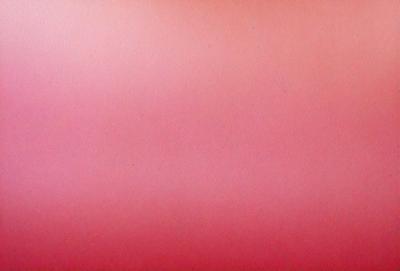 The primary subject of the image is a large, red wall. The setting is a room with a red background, and the visual style appears to be a photo. The dominant colors in the image are red and pink, creating a warm and vibrant atmosphere.