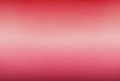 The primary subject of the image is a large, pink wall. The setting is a room with a red background, which creates a striking contrast with the pink wall. The visual style is a close-up of the wall, emphasizing its color and texture. The dominant colors are pink and red, creating a warm and vibrant atmosphere.