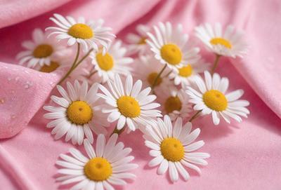 The primary subject of the image is a bouquet of white flowers with yellow centers. The flowers are arranged on a pink surface, which serves as the background. The visual style of the image is a close-up of the flowers, showcasing their details and beauty. The dominant colors in the image are white and pink, creating a soft and delicate atmosphere.
