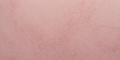 The primary subject of the image is a pink wall with a red hue. The setting is a room with a pink background. The visual style is a close-up of the wall, showcasing its texture and color. The dominant colors are pink and red, creating a warm and inviting atmosphere.
