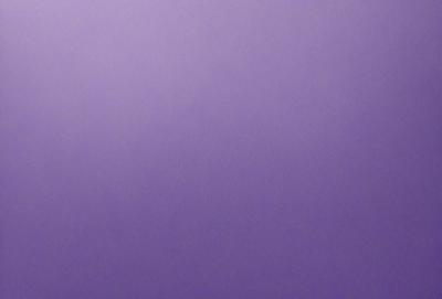 The primary subject of the image is a purple wall. The setting is a room with a purple wall, and the visual style is a photo. The dominant colors in the image are purple, and the overall atmosphere is calm and serene.