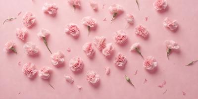 The primary subject of the image is a pink background with a scattering of pink flowers. The flowers are in various stages of blooming, creating a visually appealing and delicate scene. The setting appears to be a pink surface, possibly a table or a wall, which complements the color of the flowers. The visual style of the image is a close-up of the flowers, emphasizing their details and beauty. The colors and mood of the image are predominantly pink, creating a warm and inviting