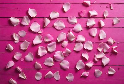 The primary subject of the image is a pink surface with a large number of pink petals scattered across it. The setting appears to be a pink table or countertop. The visual style of the image is a close-up of the petals, showcasing their details and texture. The colors and mood of the image are predominantly pink, creating a warm and inviting atmosphere.