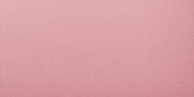 The primary subject of the image is a pink background. The setting is a blank, unadorned wall. The visual style is a close-up of the pink surface. The colors and mood are predominantly pink, creating a warm and inviting atmosphere.