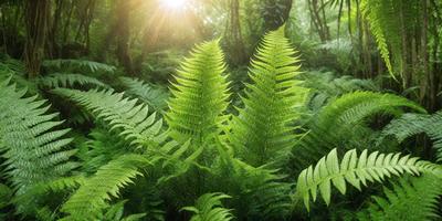 The primary subject of the image is a group of green ferns growing in a forest. The setting is a lush green forest with trees and plants surrounding the ferns. The visual style is a natural, outdoor scene with a focus on the ferns. The colors and mood are predominantly green, creating a serene and peaceful atmosphere.