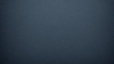 The primary subject of the image is a dark blue background. The setting is a black and white photograph, which gives it a classic and timeless appearance. The visual style is a simple and clean composition, with no distractions or intricate details. The colors and mood of the image are predominantly dark and moody, with the blue background creating a sense of depth and contrast.