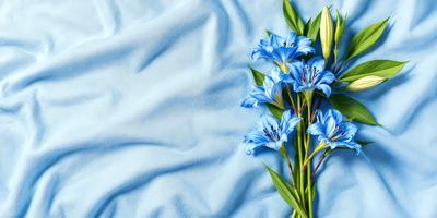 The primary subject of the image is a bouquet of blue flowers, which are the main focus of the scene. The flowers are placed on a blue surface, which could be a sheet, blanket, or tablecloth. The visual style of the image is a close-up of the flowers, showcasing their beauty and details. The dominant colors in the image are blue and white, creating a calm and serene atmosphere.