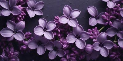 Purple flowers with purple petals and green stems.