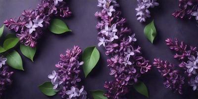 Purple flowers with green leaves.