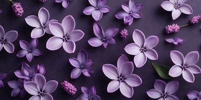 Purple flowers on a purple background.