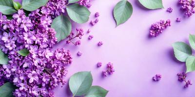 Purple flowers on a purple background.