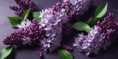 Purple flowers are the primary subject of the image. They are displayed on a purple background, creating a visually striking scene. The flowers are arranged in a bouquet, with some of them falling off the bouquet. The overall atmosphere of the image is serene and elegant, with the purple flowers being the main focus.