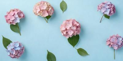 The primary subject of the image is a group of three pink flowers with green leaves. The flowers are placed on a blue surface, which serves as the setting or background. The visual style of the image is a photo, capturing the beauty of the flowers and their surroundings. The colors in the image are predominantly pink and blue, creating a calm and serene atmosphere.