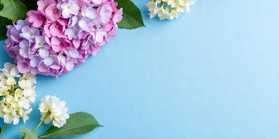 The primary subject of the image is a bouquet of flowers, which are displayed on a blue surface. The flowers are arranged in a visually appealing manner, creating a sense of freshness and beauty. The setting appears to be a studio or a controlled environment, as the flowers are placed on a table or a similar surface. The visual style of the image is a close-up of the flowers, emphasizing their details and colors. The dominant colors in the image are blue and pink, which complement each other and create a harmon