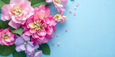The primary subject of the image is a bouquet of pink flowers. The flowers are arranged in a visually appealing manner, creating a sense of beauty and elegance. The setting is a blue background, which adds a touch of color and contrast to the scene. The visual style of the image is a close-up of the flowers, allowing the viewer to appreciate the details and textures of the petals. The colors and mood of the image are predominantly pink, which evokes feelings of warmth, love