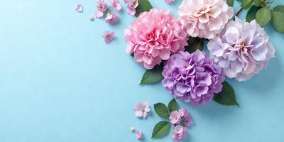 The primary subject of the image is a bouquet of flowers, which are displayed in a vase. The flowers are of various colors, including pink, purple, and white. The setting is a blue background, which adds a contrasting and calming effect to the scene. The visual style of the image is a close-up of the flowers, showcasing their details and beauty. The colors and mood of the image are serene and soothing, as the flowers create a peaceful and harmonious atmosphere.